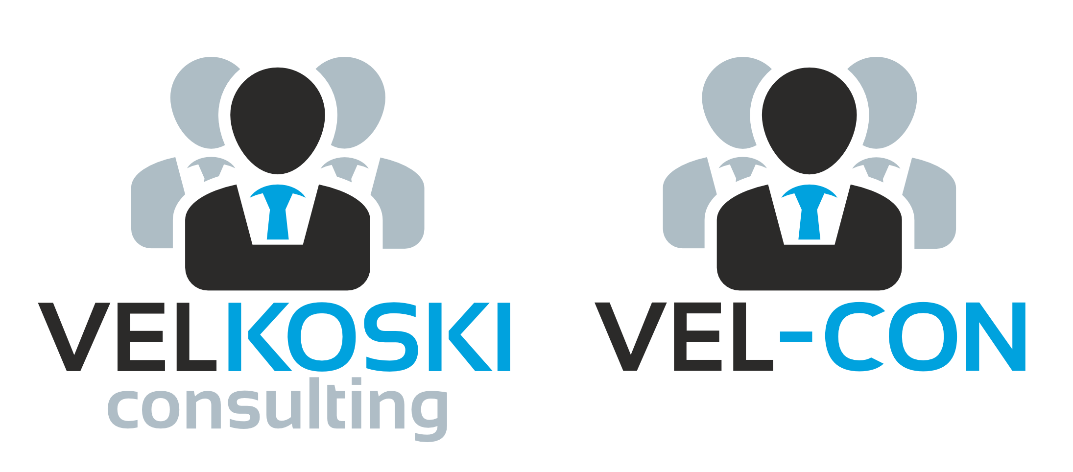 VELKOSKI consulting and VEL-CON